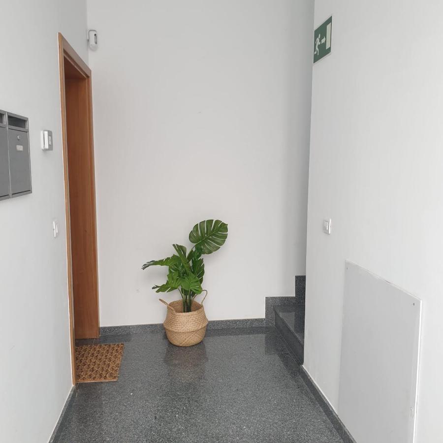 City Suite Las Palmas / Gran Canaria Exterior foto